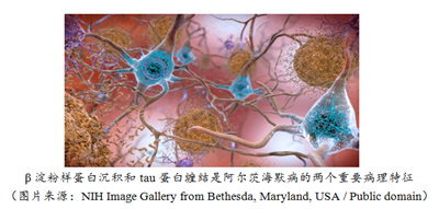 搜狗高速浏览器截图20250312170939.png