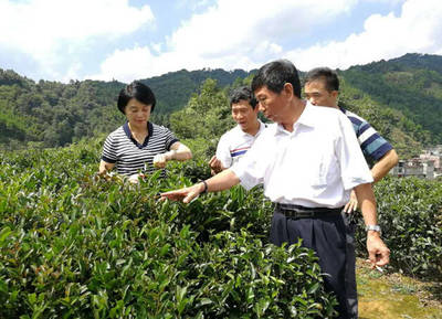 六堡茶生态原产地产品保护复审评定工作顺利举行